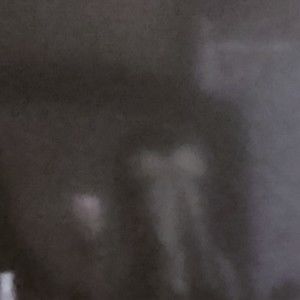 Meet your Posher, Lynm